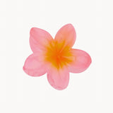 Hawaiian blomma hårklämma - Rosa