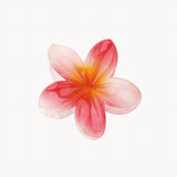 Hawaiian blomma hårklämma - Röd